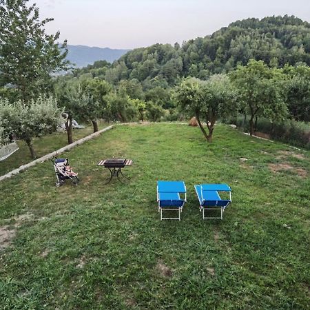 Vila Ella Villa Căpăţîneni-Ungureni Екстериор снимка