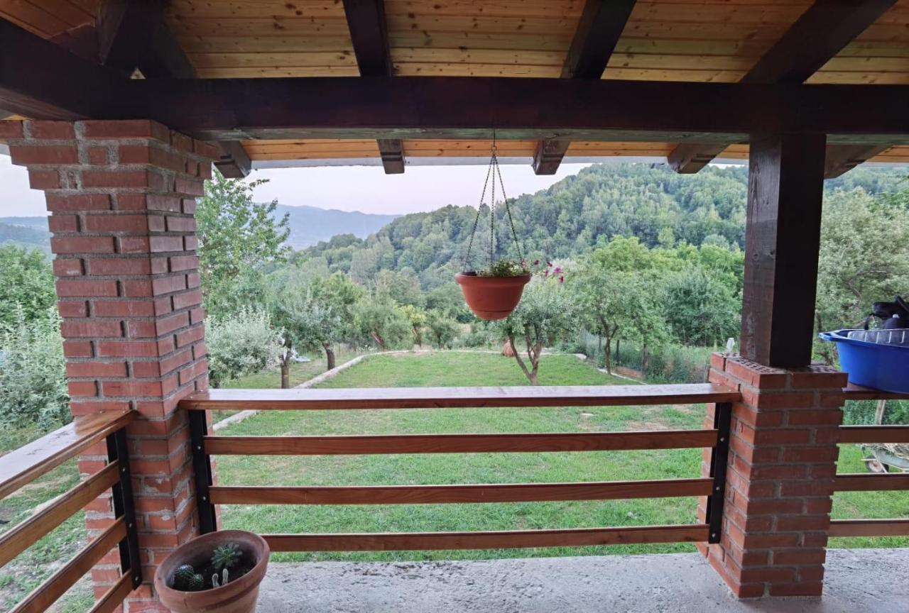 Vila Ella Villa Căpăţîneni-Ungureni Екстериор снимка