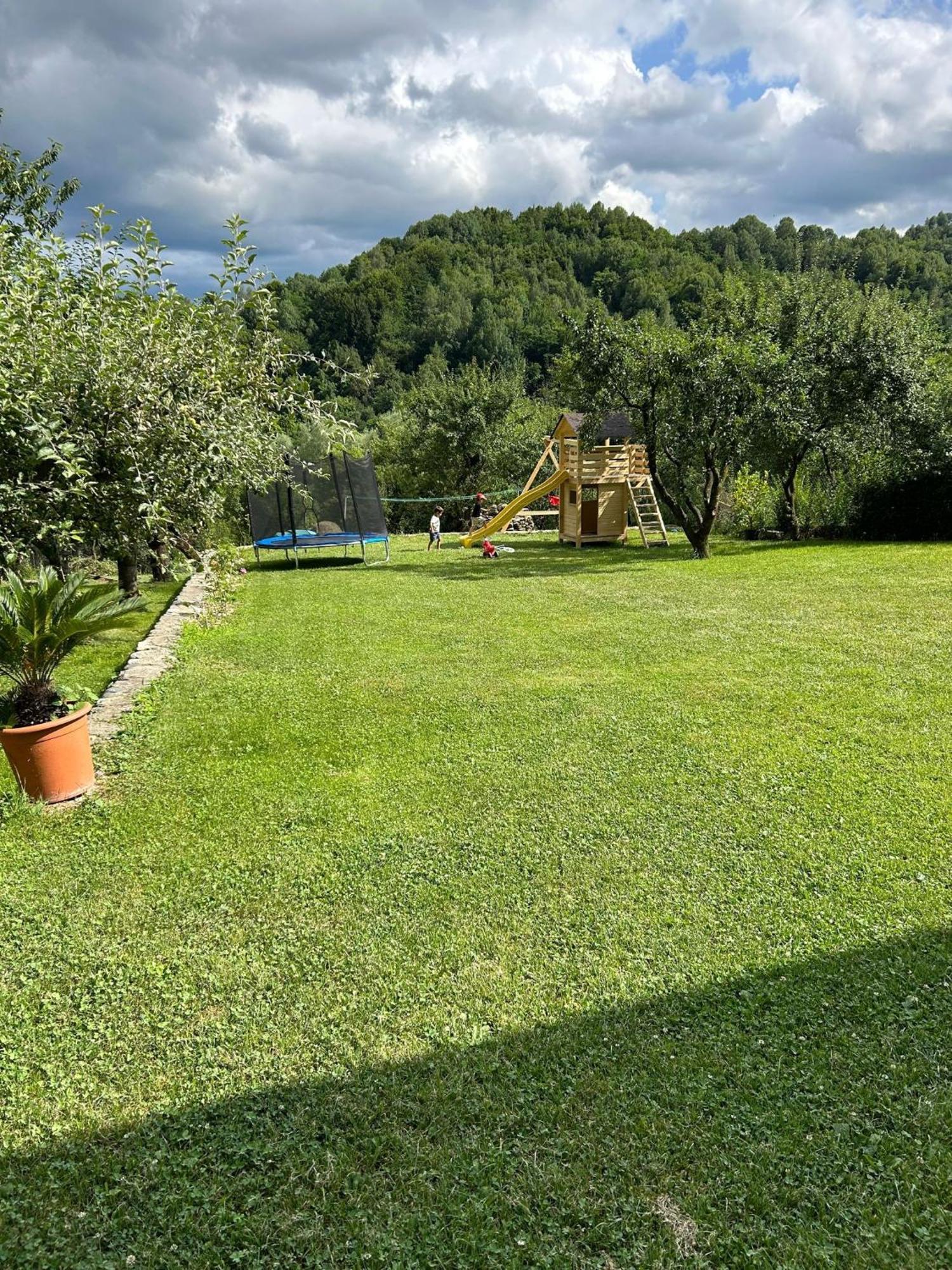 Vila Ella Villa Căpăţîneni-Ungureni Екстериор снимка